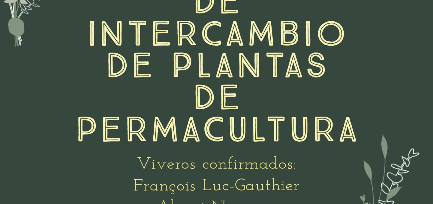 ¿Participas?